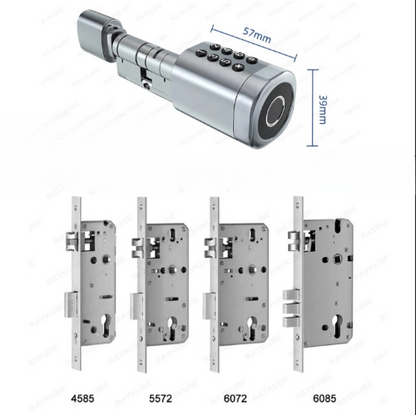 RAYKUBE Smart connecté avec empreinte digital